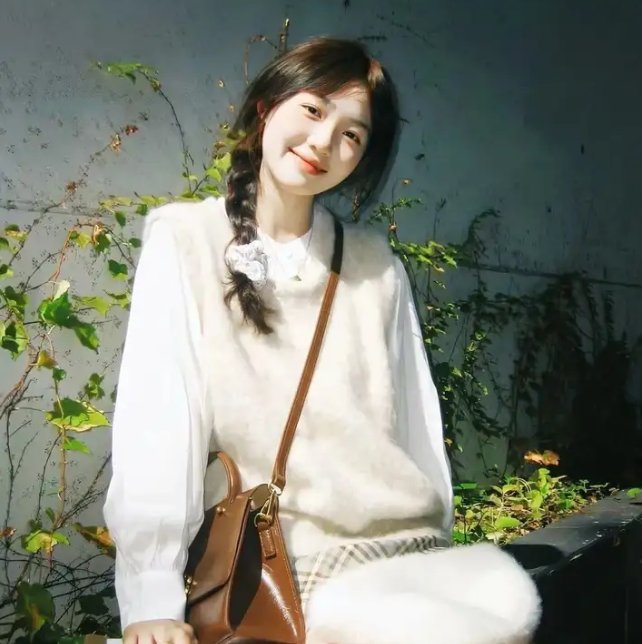 大雄的猫狗时空传