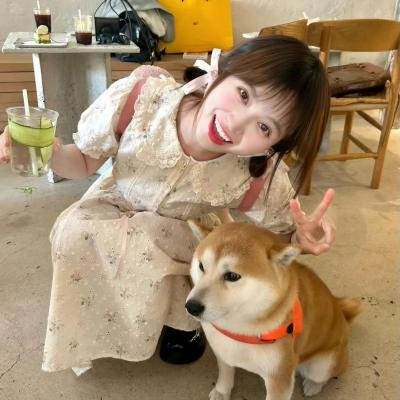 青春创世纪 海报